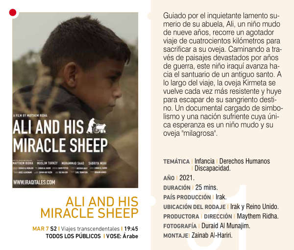 Ficha técnica de Ali and his miracle sheep